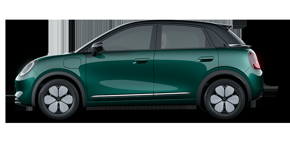 Wuling Bingo
