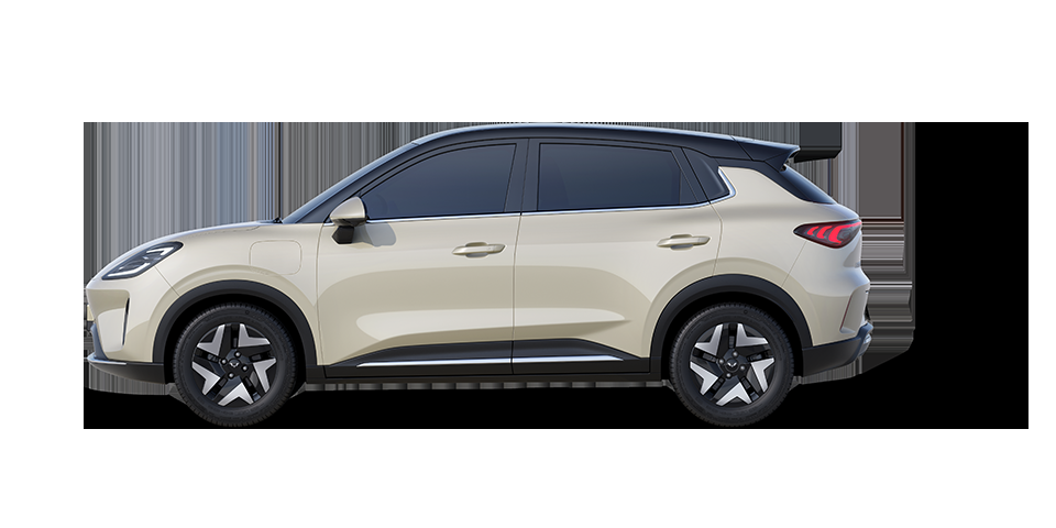 Wuling Bingo